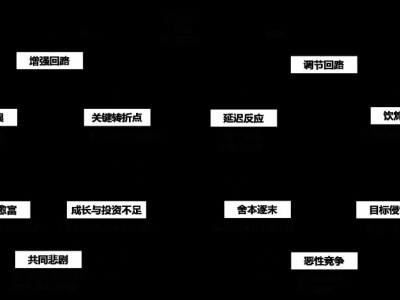 破解組織復(fù)雜問(wèn)題的十大系統(tǒng)思考模式,思考魔方，成長(zhǎng)引擎