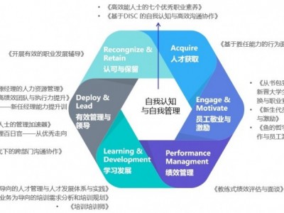 打造敏捷高績效團(tuán)隊(duì)與執(zhí)行力提升（含人才測評(píng)）